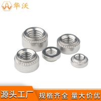 304碳钢压铆螺母 机柜钣金专用铆母 不锈钢压板螺帽圆形涨铆螺母