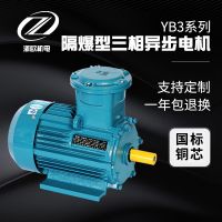 厂家批发4极立卧式防爆电机380V马达国标铜芯YB3三相异步电动机