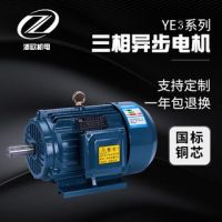 厂家直供三相异步电动机国标铜芯YE3四级380v全系列高功率电机