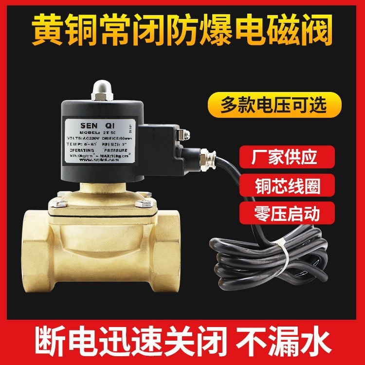 防爆电磁阀常闭 AC220V DC24V 气动阀 阀门黄铜不锈钢开关控制阀