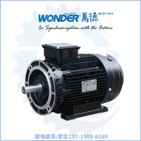 WONDER电机/福建万达电机/福州万德电气/出口欧洲/平替进口电机
