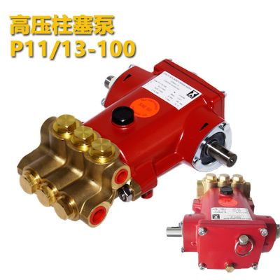 德国Speck斯贝克 高压柱塞泵P11/13-100 P11系列高温泵