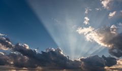 丰田汽车，乱中求治