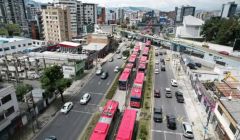 中国汽车在厄单月销量占比超五成