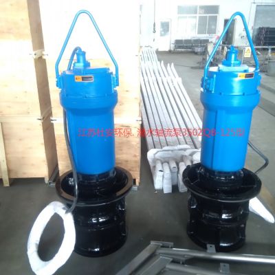 500ZQB-70潜水轴流泵安装示意图