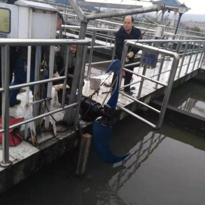 生物反应池潜水推流器QJB5.5/4-2200/2-43